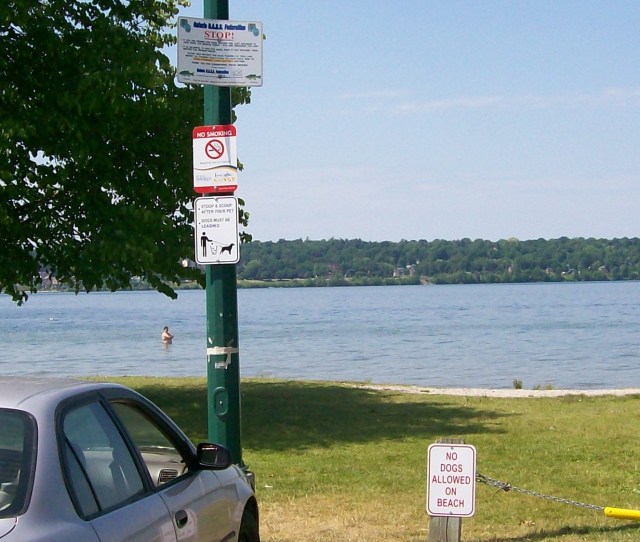 Minet's Point Signs